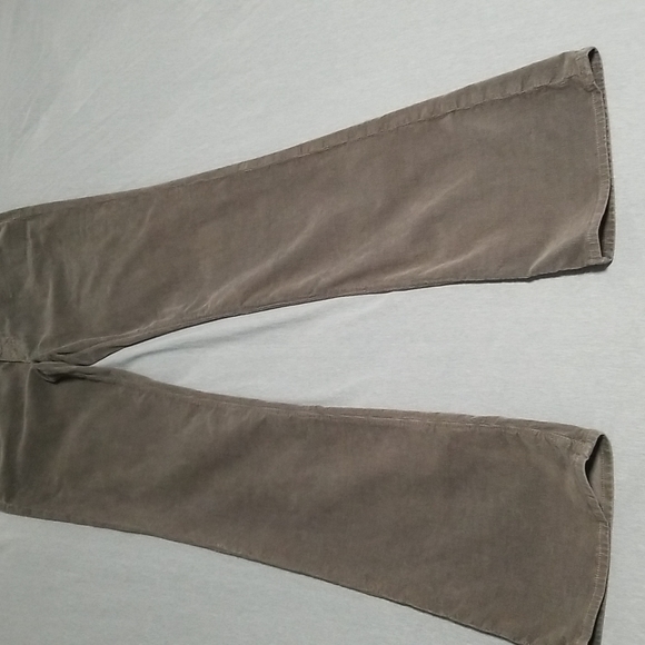 AG The Angel Boot Cut Corduroy Pants Olive - Picture 9 of 16